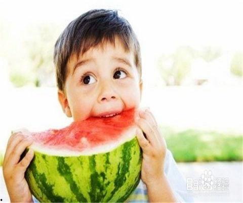 娱乐吃瓜蜀黍毛球